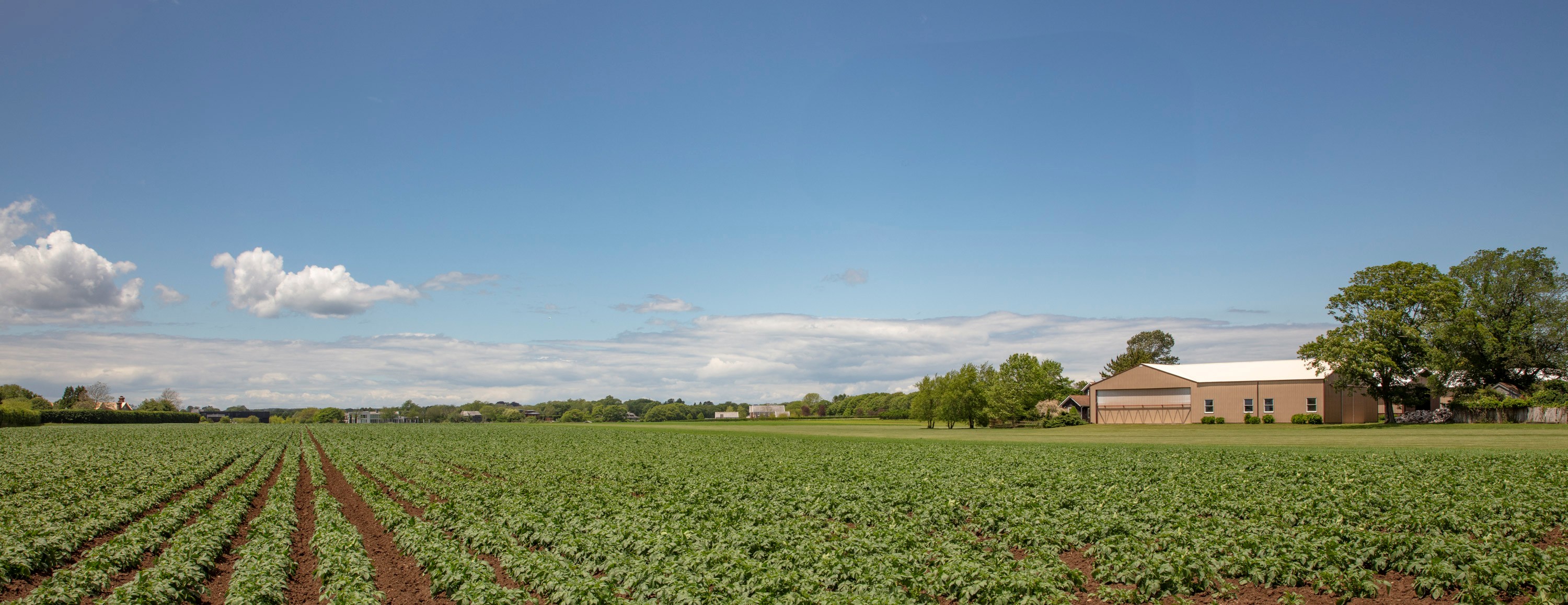 photo of farm
